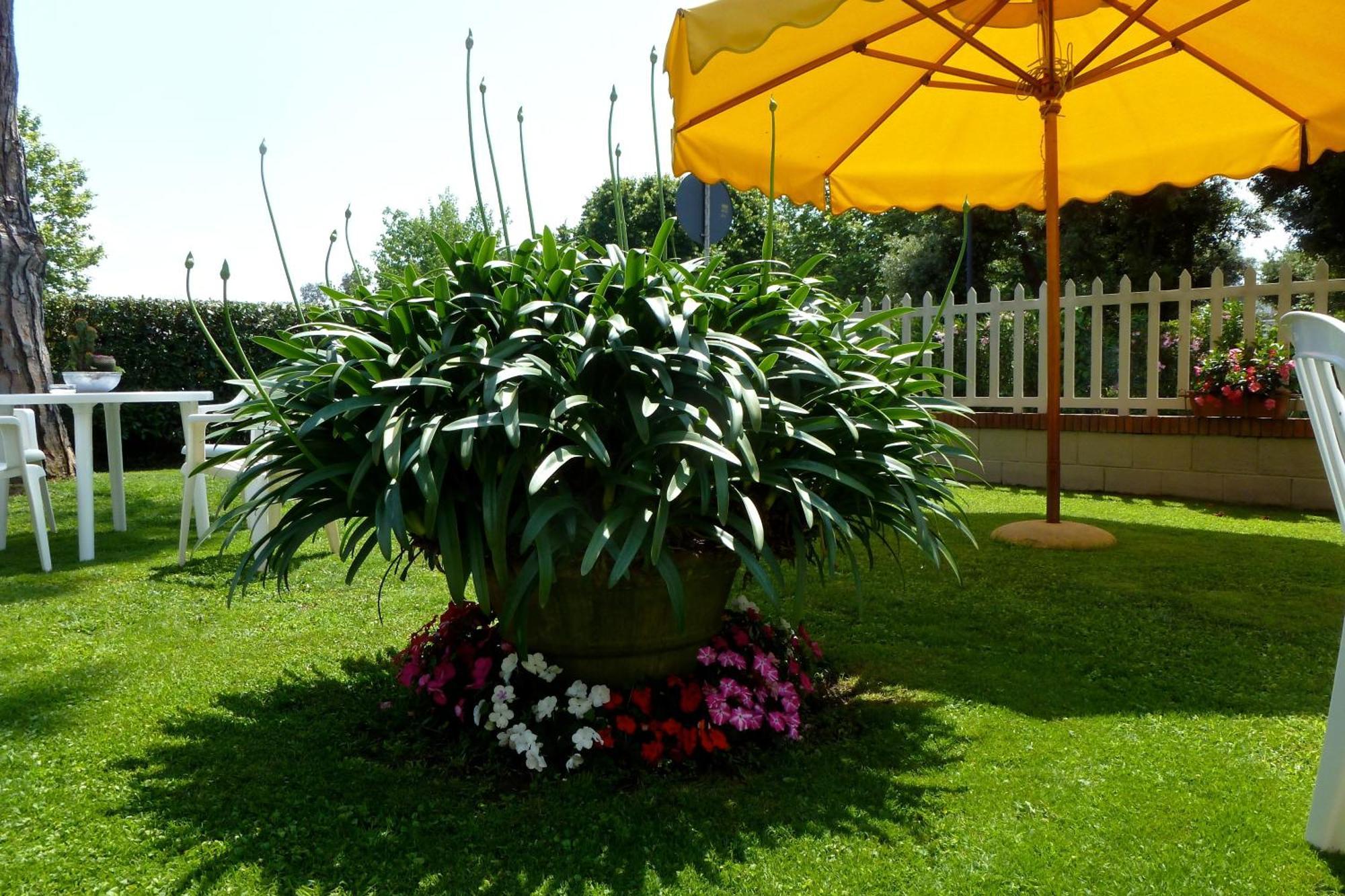Hotel Versilia Lido di Camaiore Esterno foto