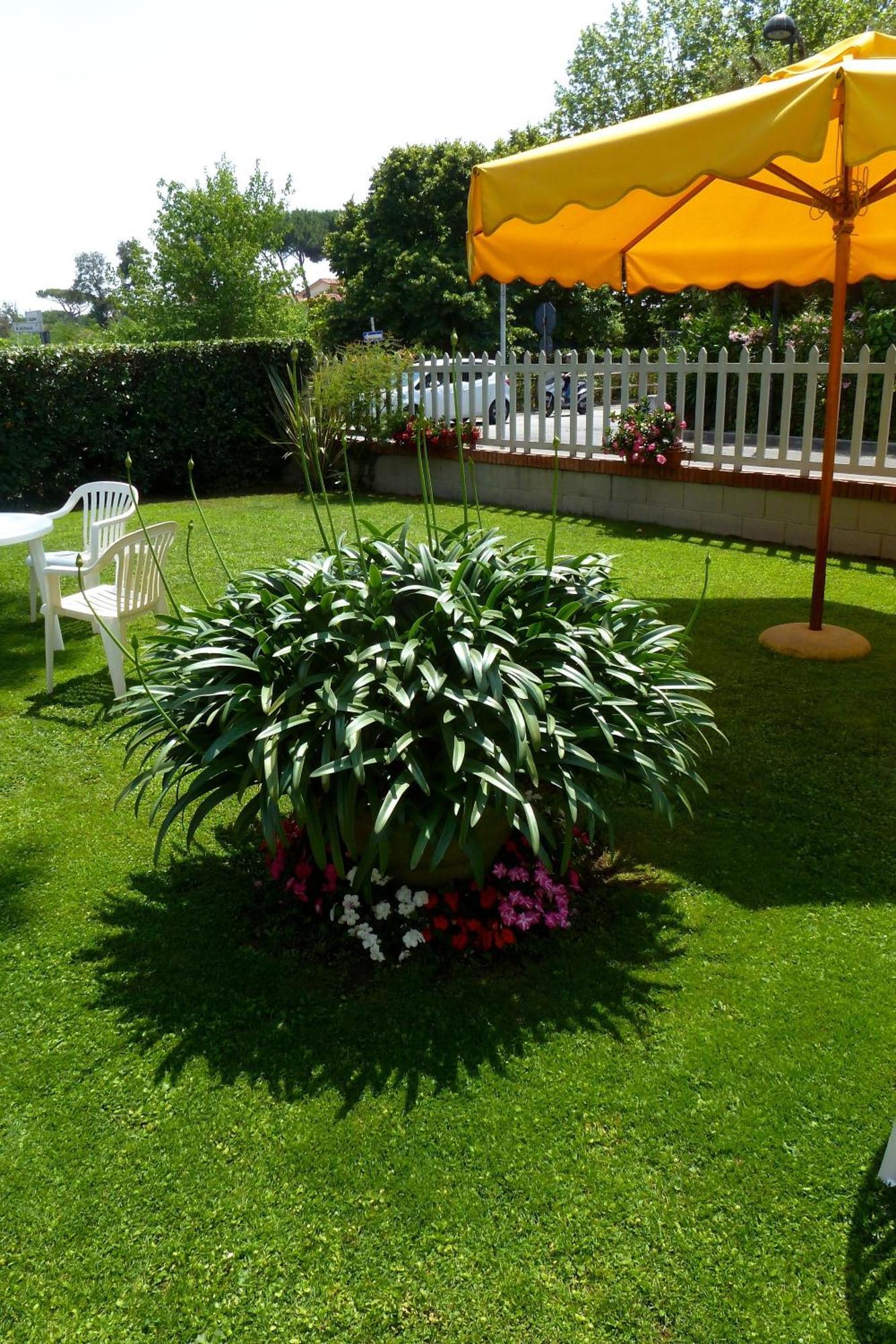 Hotel Versilia Lido di Camaiore Esterno foto