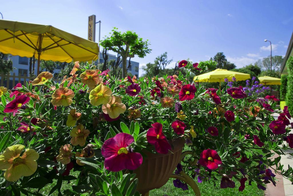 Hotel Versilia Lido di Camaiore Esterno foto